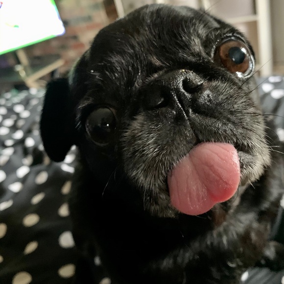 About My Closet -  ❤️🎉🦄 - Picture 5 of 9